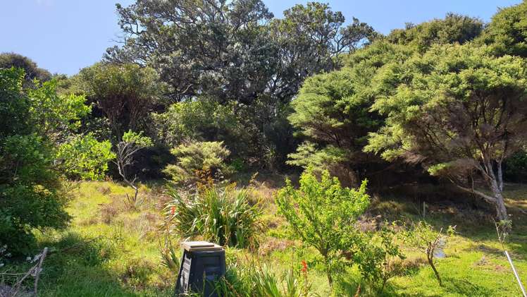 38a Blackwell Drive Great Barrier Island_8