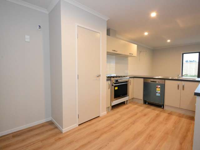 33 Okarito Avenue Levin_3