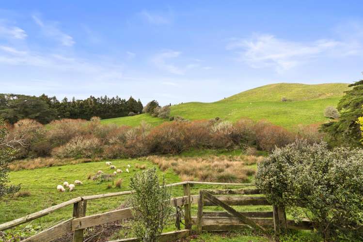 173 Dunn Road Ararimu_31