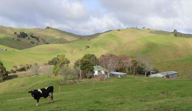 259 Elgood Road Ngaruawahia_6