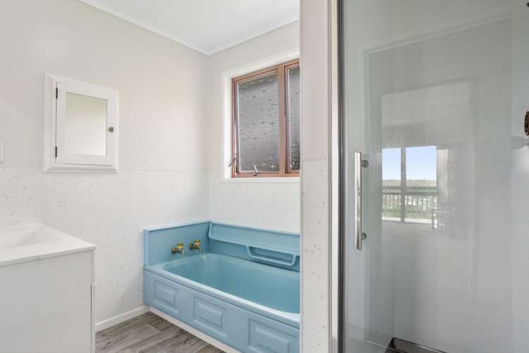 8 De Castro Street Paeroa_13