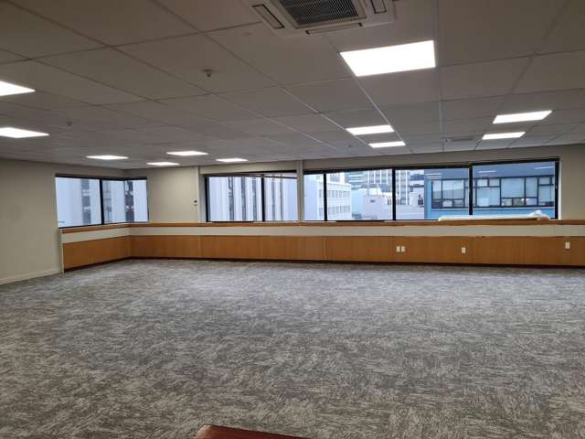 90 The Terrace Wellington Central_4