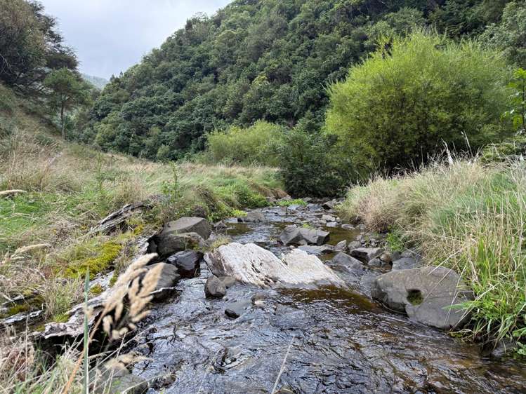 7957 State Highway 2 Opotiki Surrounds_14