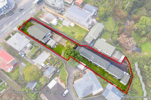 1,2,3/1038 Great North Road Pt Chevalier_3