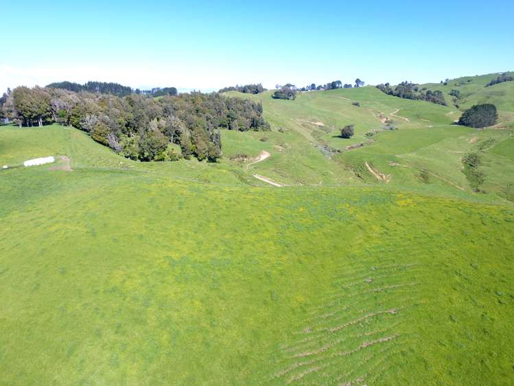 104 Tapuae Road Honikiwi_45