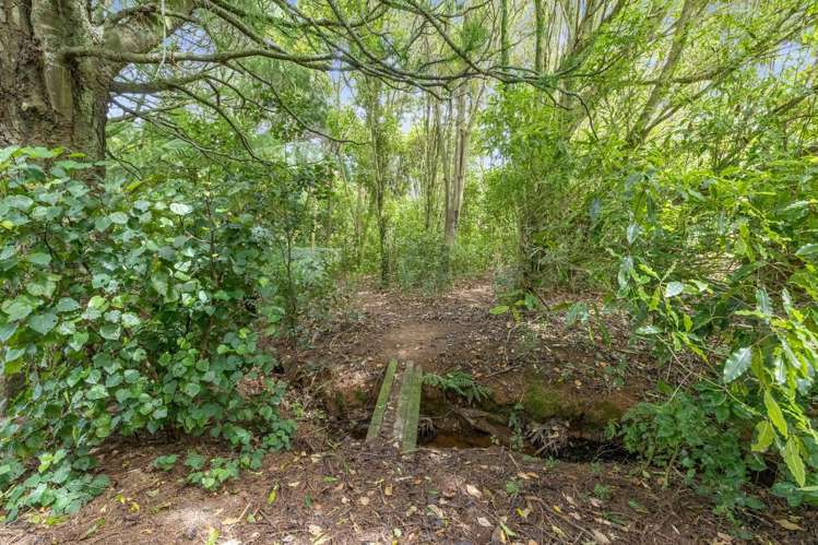 774 Mangawara Road Morrinsville_15