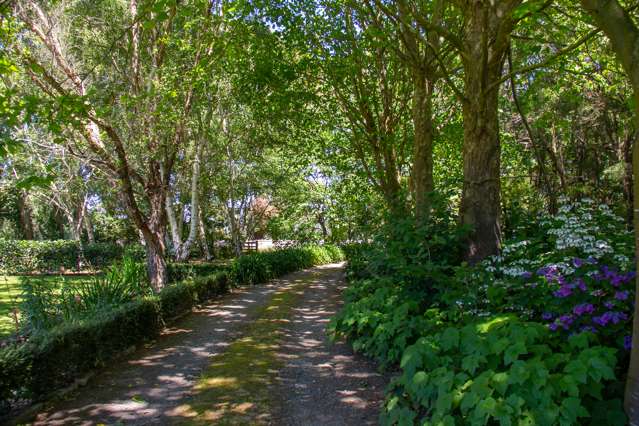 1531 Kahutara Road Kahutara_3