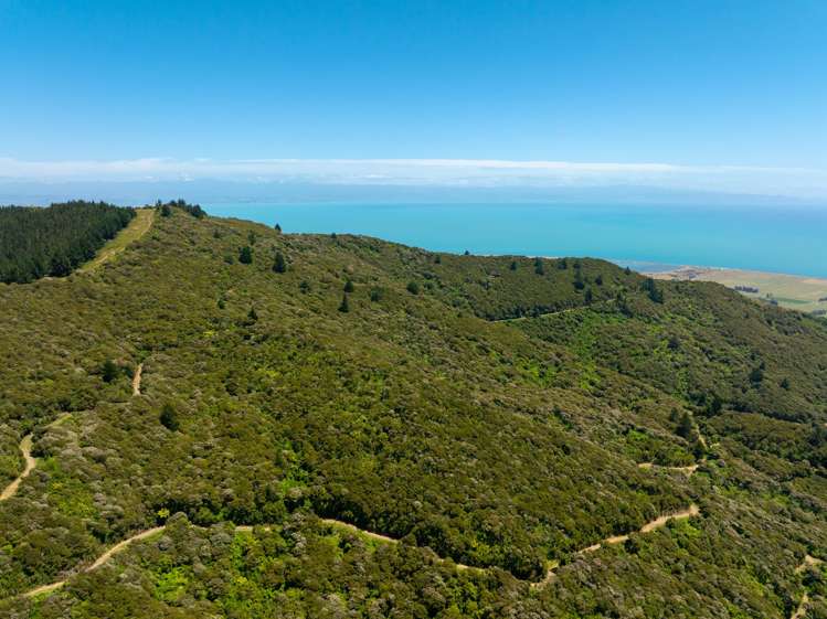 185 Kanuka Rise Wakapuaka_29