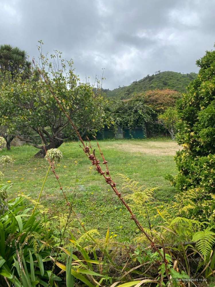 9 Kotare Street Waikanae_17