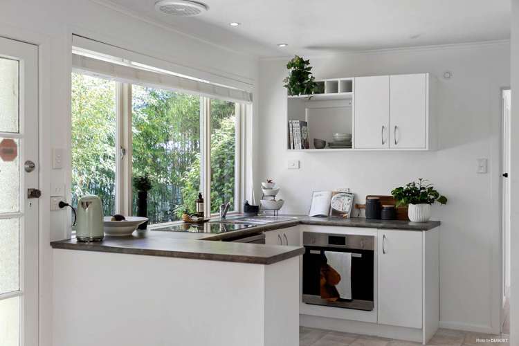 28 Wingate Street Avondale_7