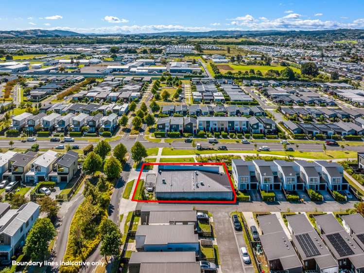 2A Swamp Kauri Grove Papakura_13