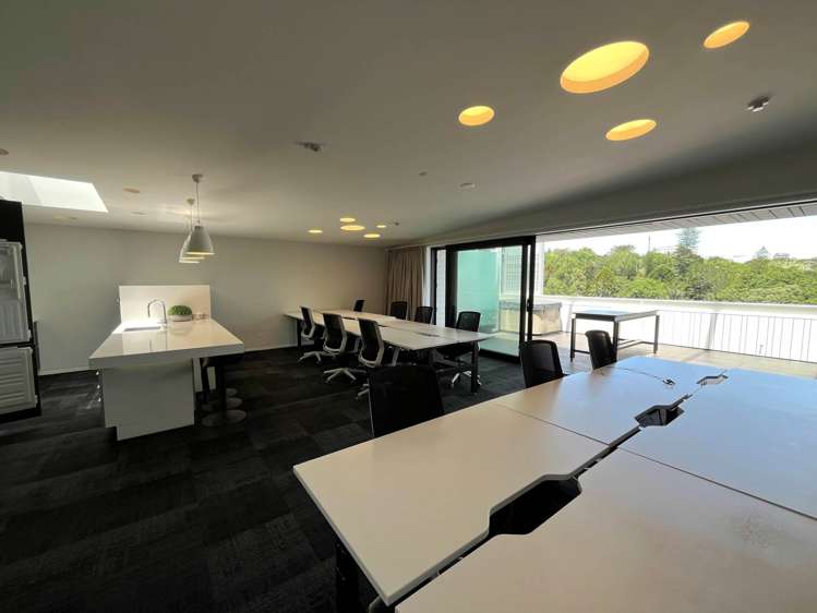 23 Falcon Street Parnell_5