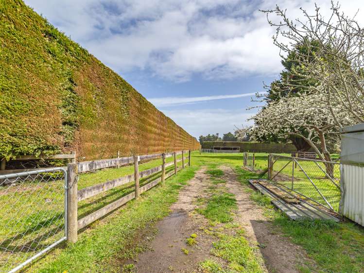 50 Painua Road Hokio Beach_19