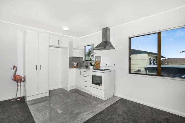 10b Maplesden Drive Clendon Park_2