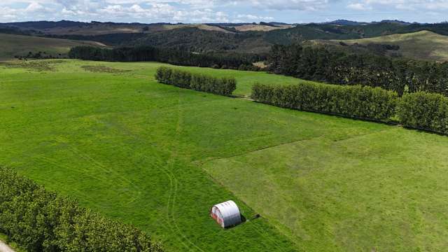 374 Rakauwahia Road Taheke_3