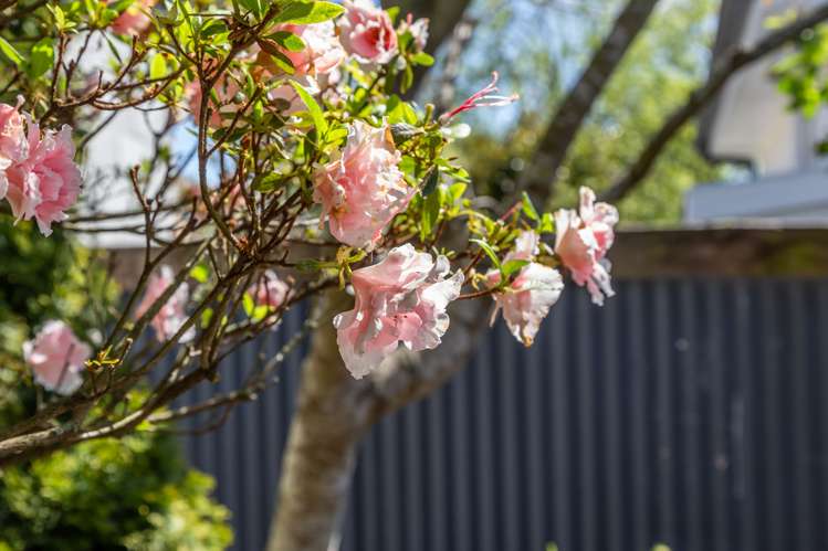 15 Mary Street Papanui_18