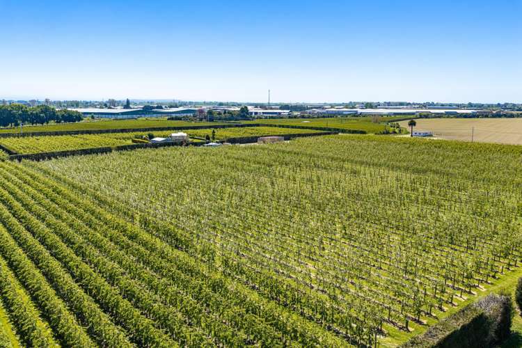 131 Ruahapia Road Waipatu_15