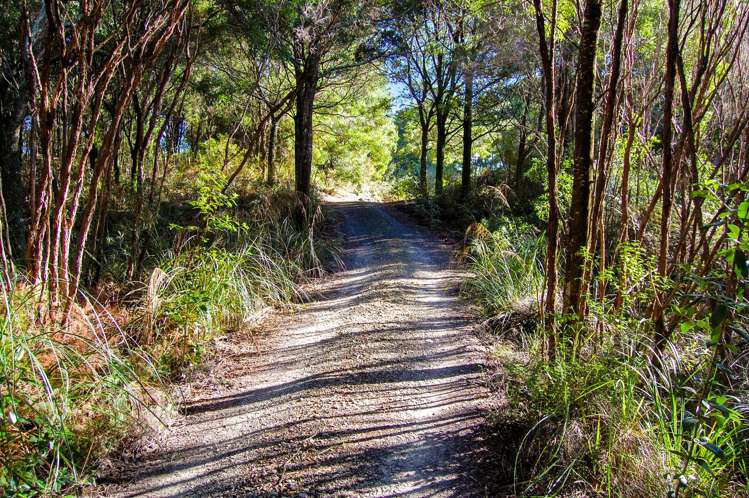 120 Rangiora Road Kaiwaka_18