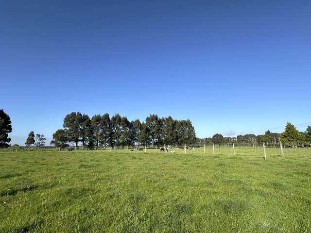 35 Pioneer Highway Mataura_2