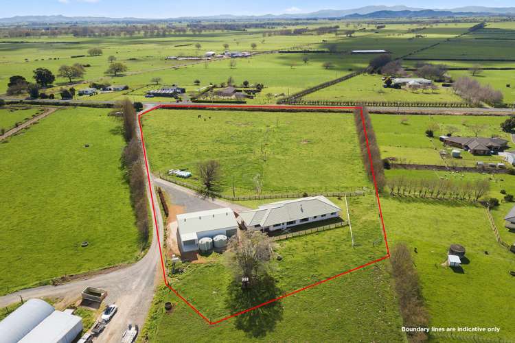 348 Piako Road Gordonton_17