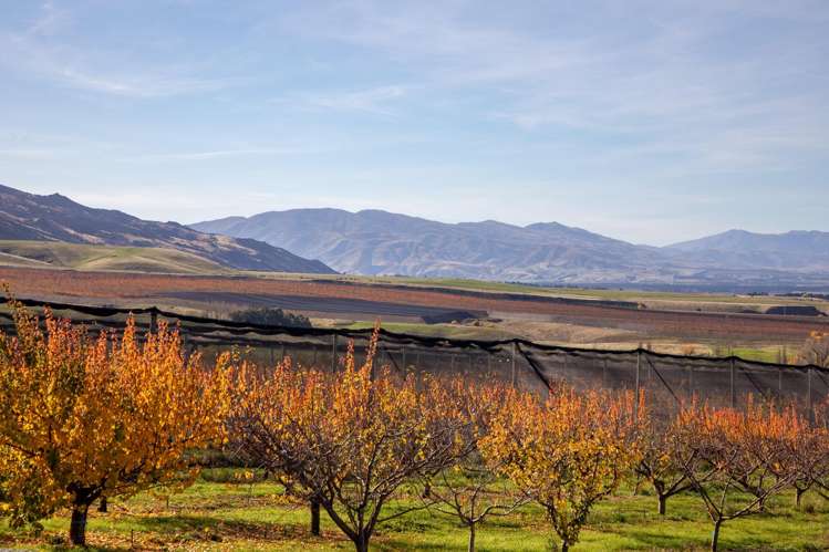 41 Cooper Lane Mount Pisa_15