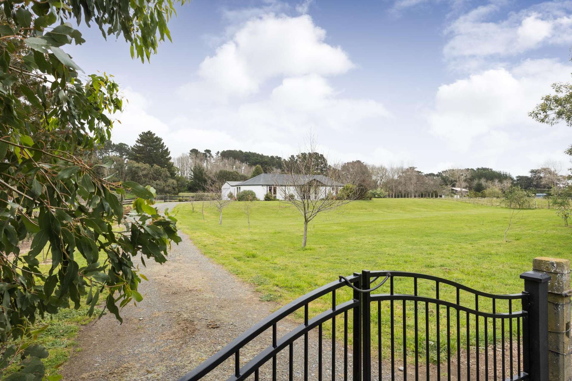 450 Foxton Shannon Road Foxton_0