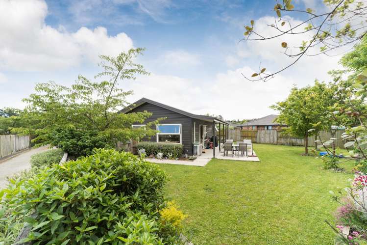 137 Oxford Street Ashhurst_23