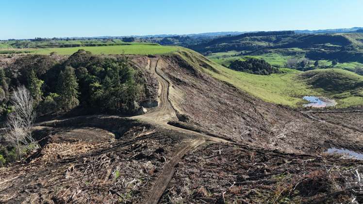 Waireka Road Papaiti_5