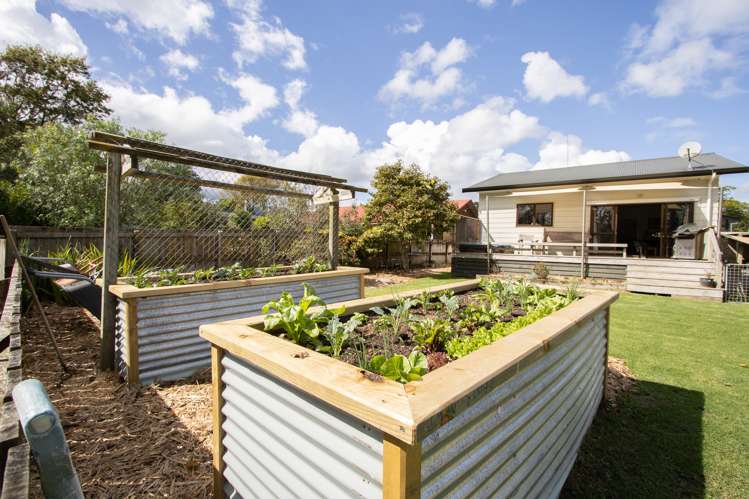 21 Puriri Valley Road Puriri_6