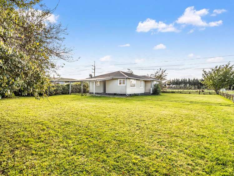 55 Wilson Street Waverley_28