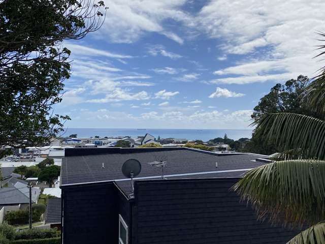 Niger Terrace New Plymouth City Surrounds_4