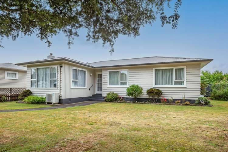 7 Arran Street Levin_13