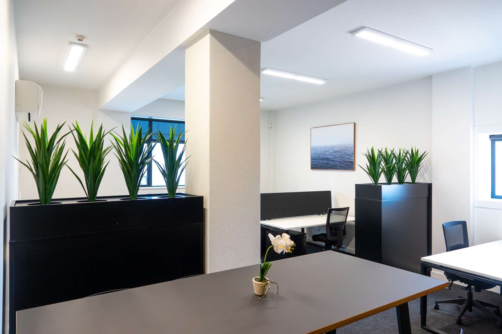 Suite 5/185 Manchester Street Christchurch_0