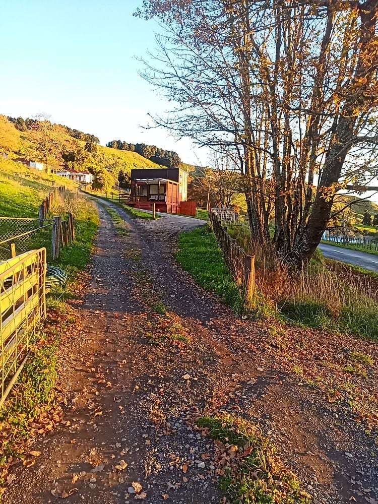 677 Hikumutu Road Hikumutu_19