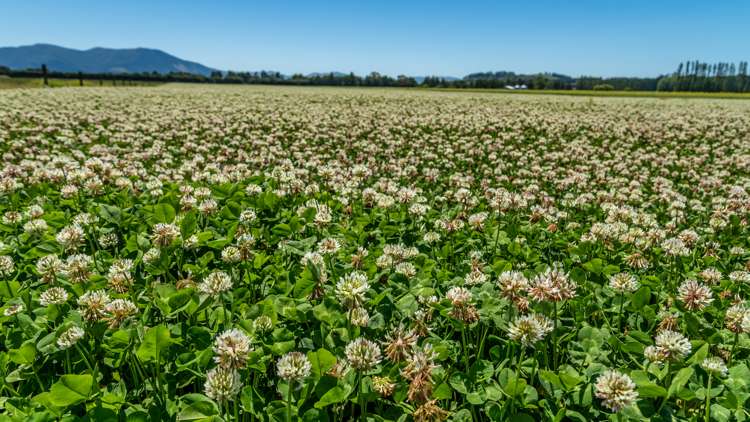 190 Bennetts Road Cust_13