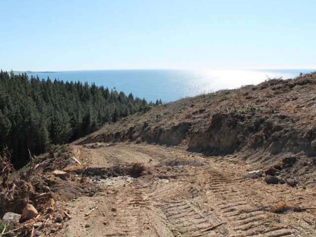 Shag Point Road Waitaki_2