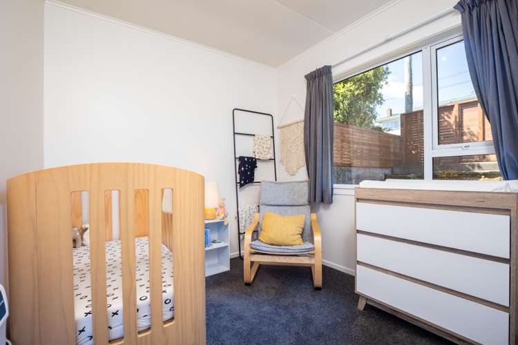 43 Essex Street Vogeltown_12