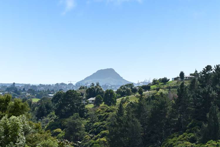 40 Adler Drive Ohauiti_4