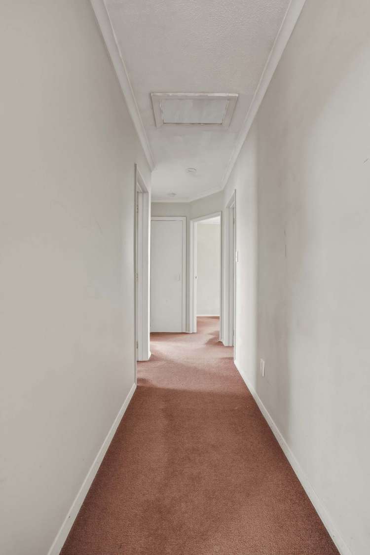 284A Taieri Road Wakari_8