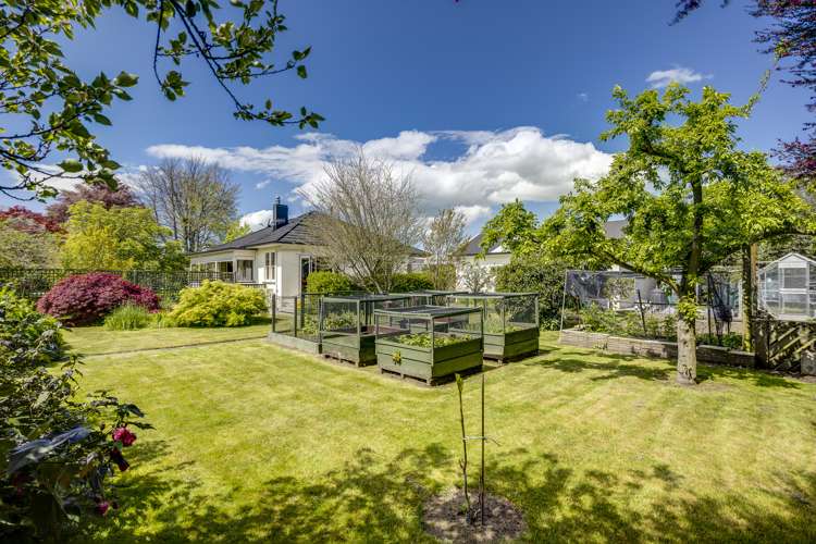 1000 Rata Street Mahora_17