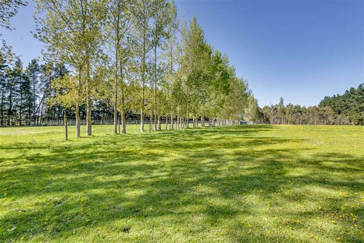 393 Dixons Road Loburn_14