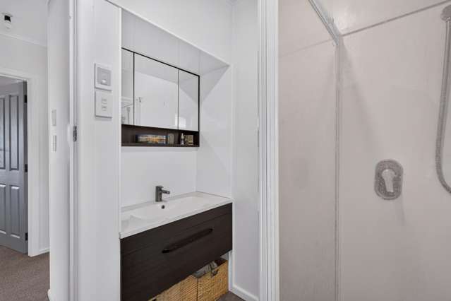 41 Geddis Avenue Maraenui_4