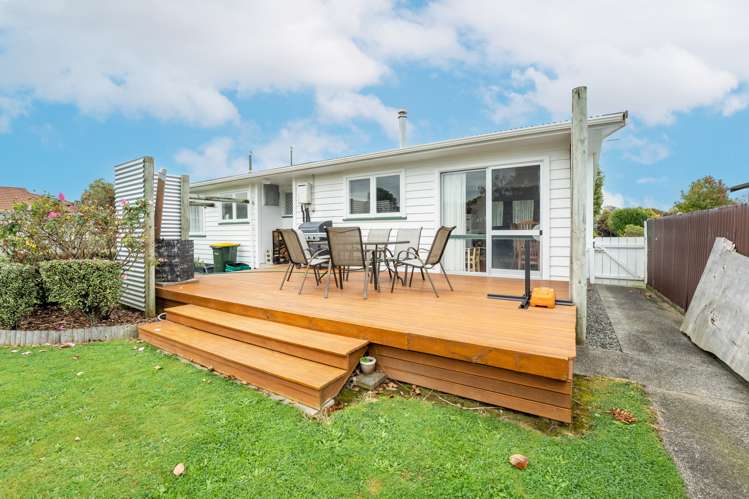 29 Burn Street Levin_2