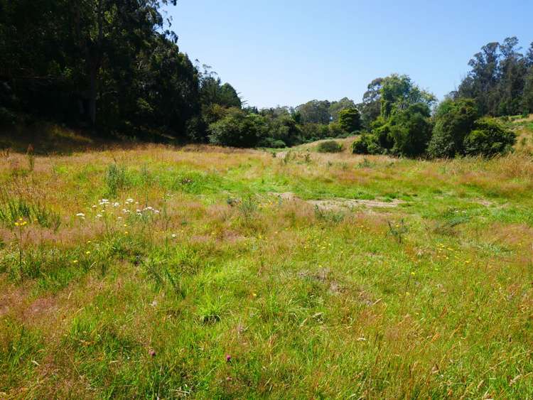 2705 Waikouaiti-Waitati Road Waikouaiti_12