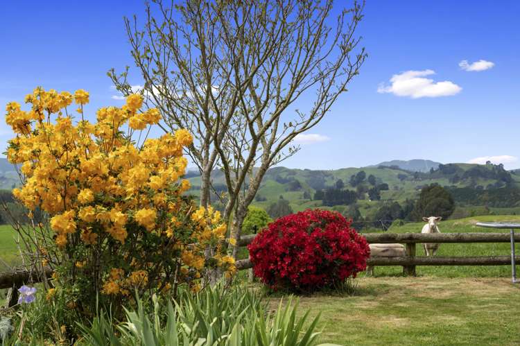 857a Poutakataka Road Atiamuri_16