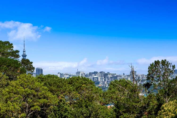 21 Makepiece Place Chatswood_12