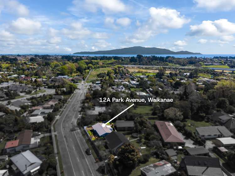 12A Park Avenue Waikanae_21