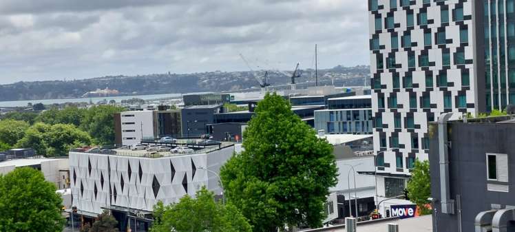 135 Hobson Street 10015_12