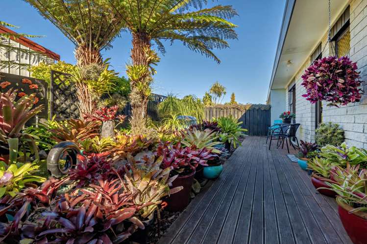 12b Hikurangi Street Whakatane_18