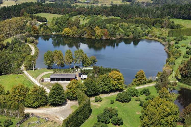 121C Purangi Road Whenuakite_1